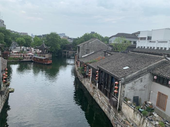 知青往事:我家是南京下放户,下放时家里在房前屋后种了许多泡桐